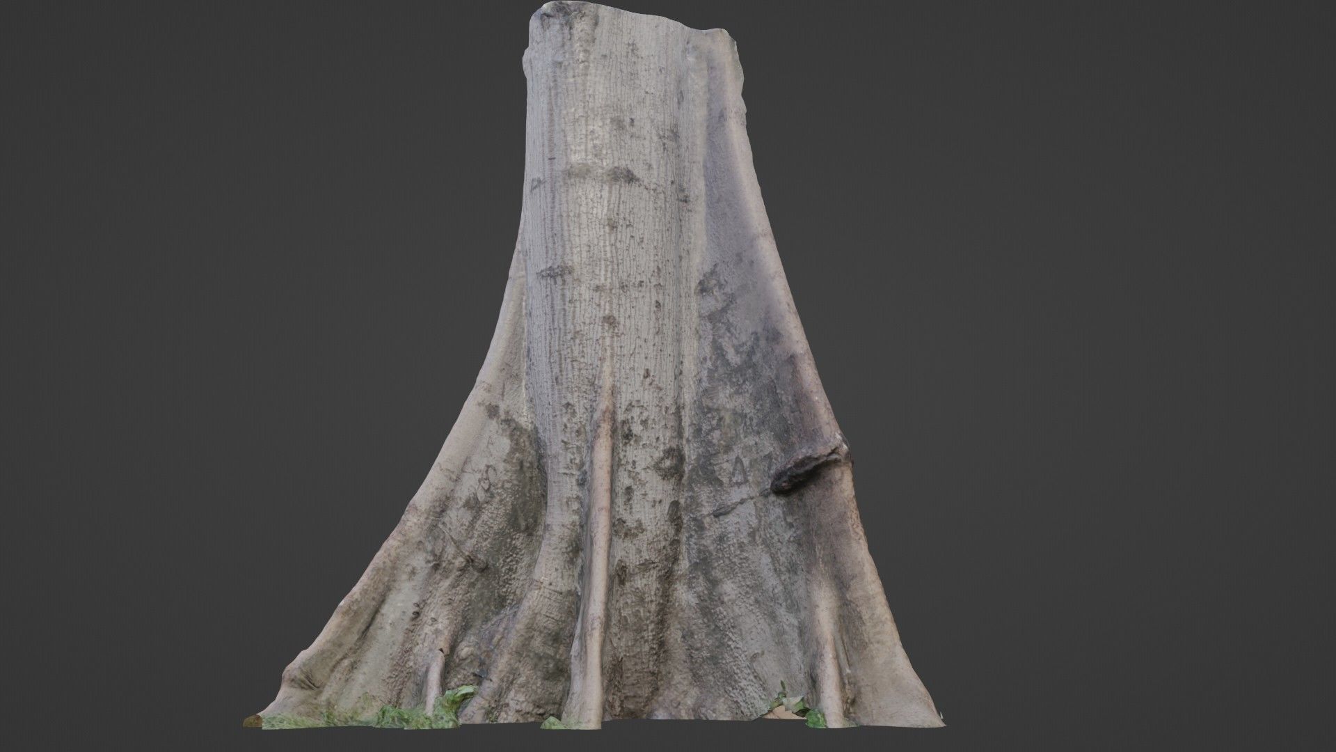 Tree Gaint Low-poly 3D model_1