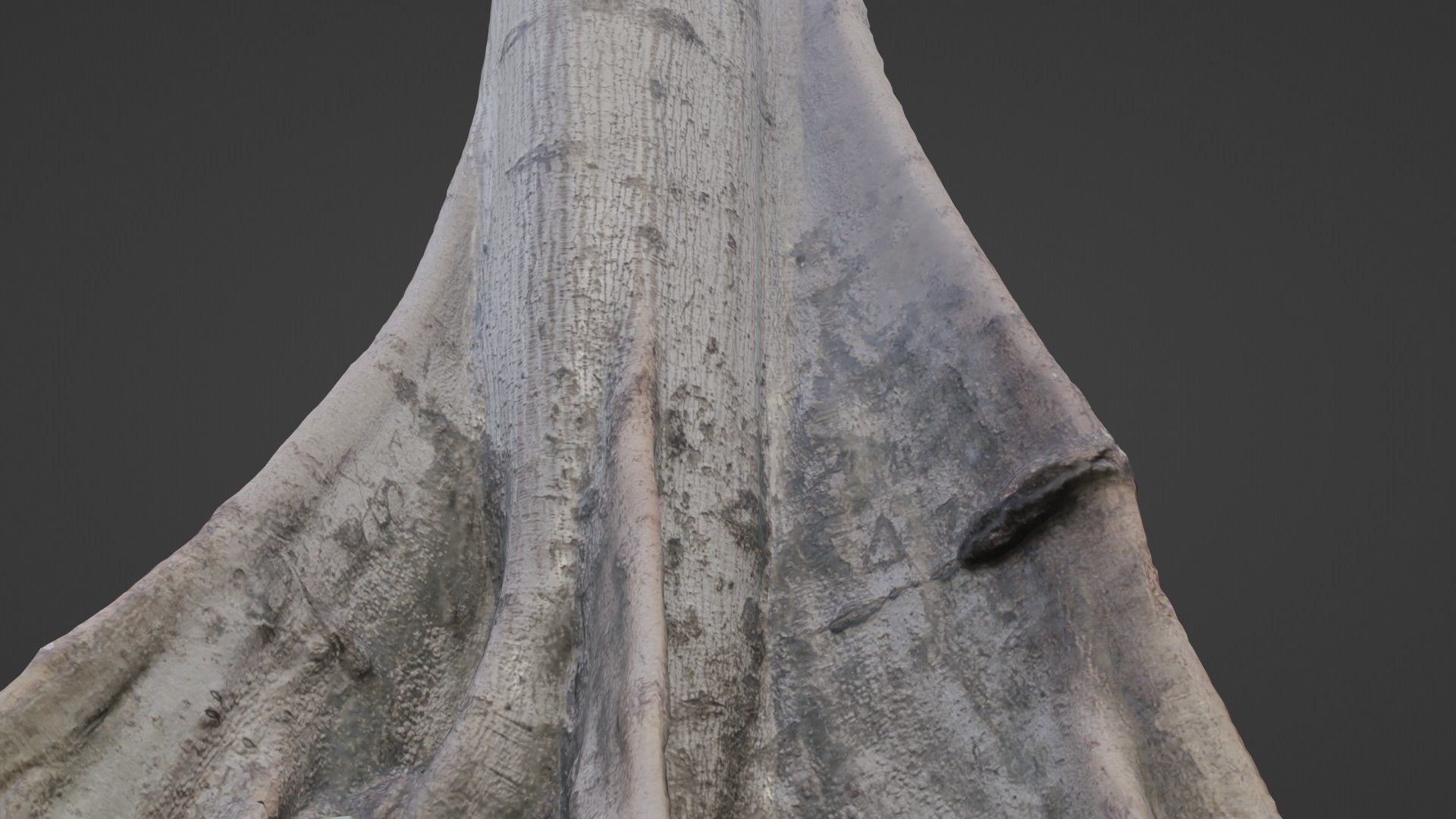 Tree Gaint Low-poly 3D model_3