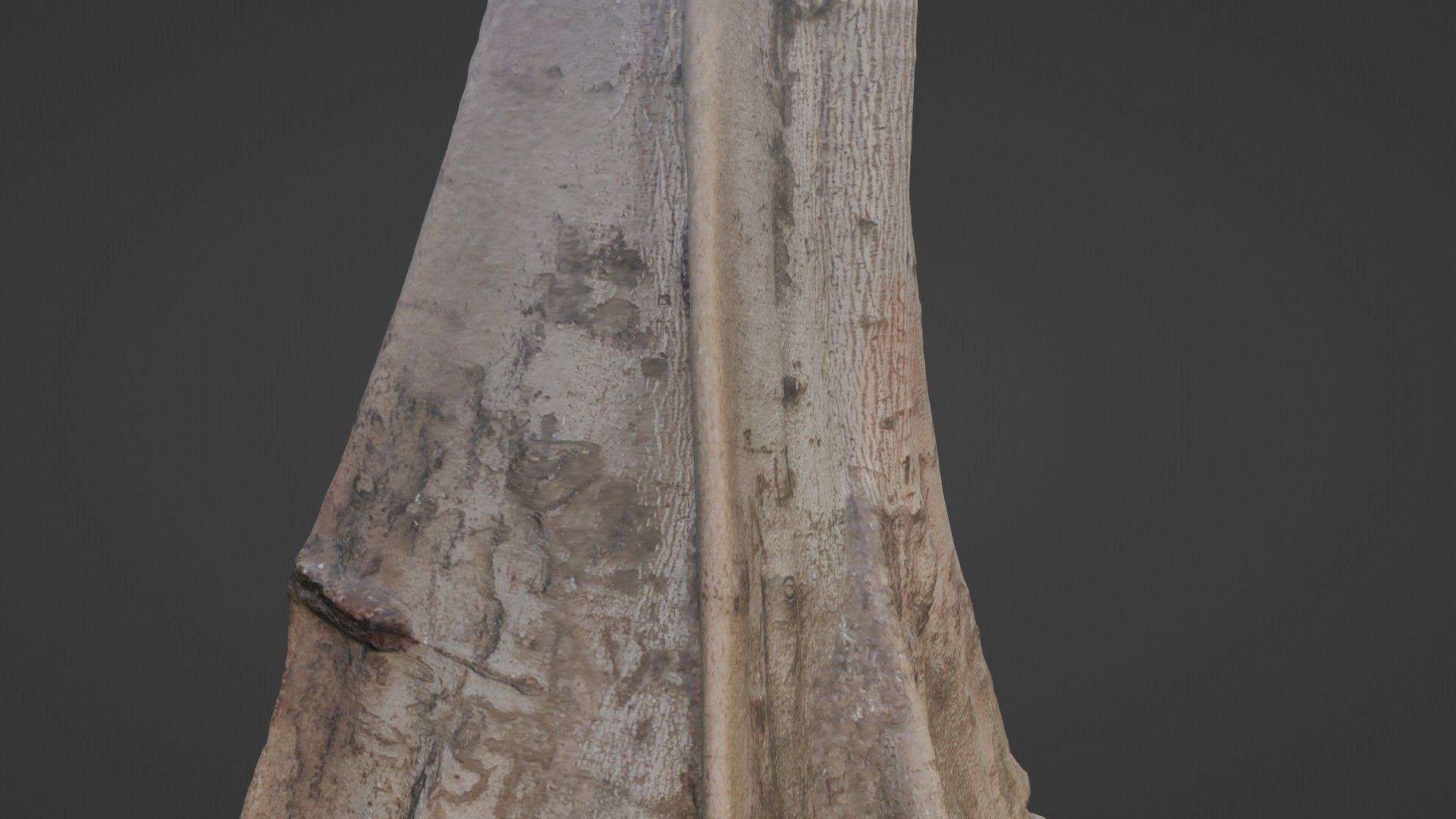 Tree Gaint Low-poly 3D model_7