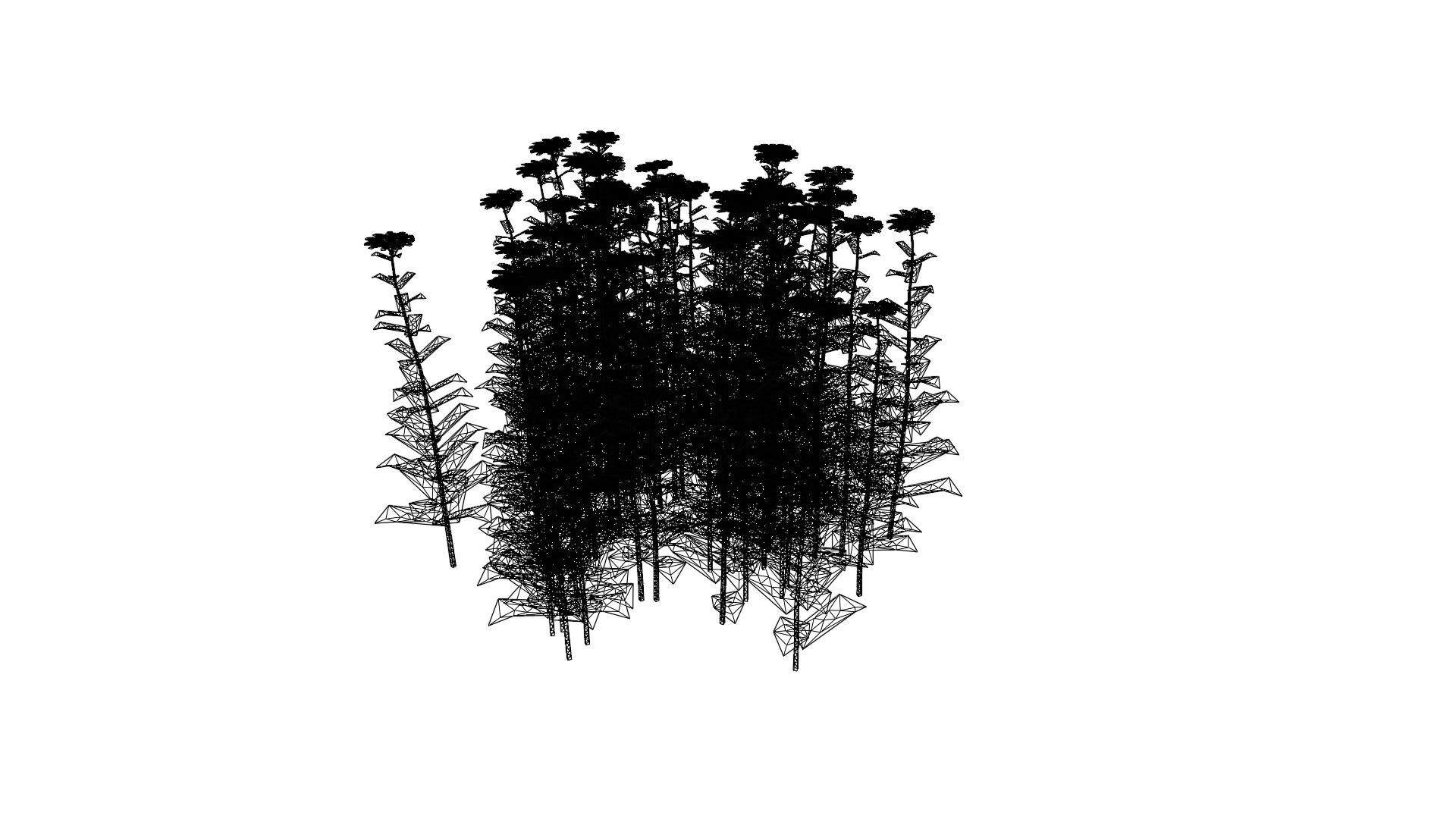 Forest Daisy Flowers Low-poly 3D model_5