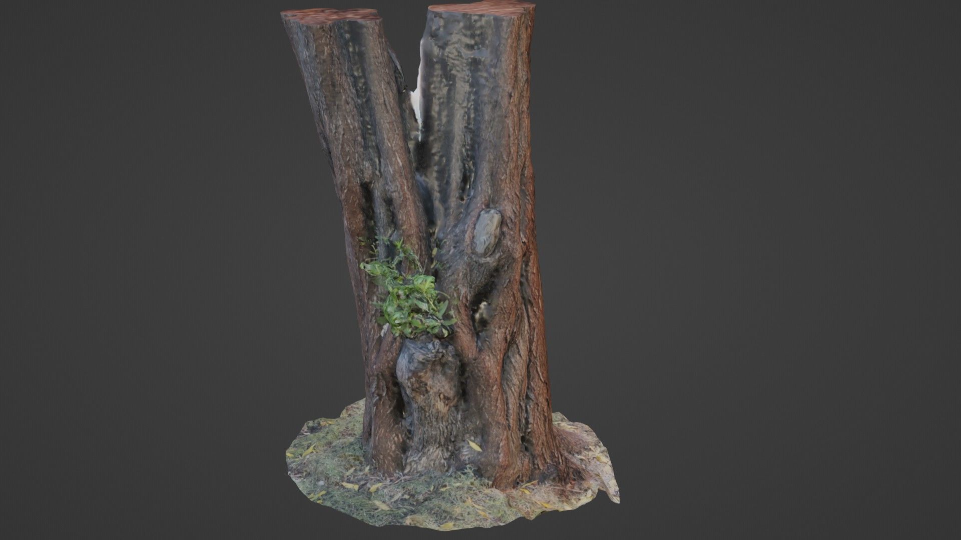 tree scan Low-poly 3D model_1