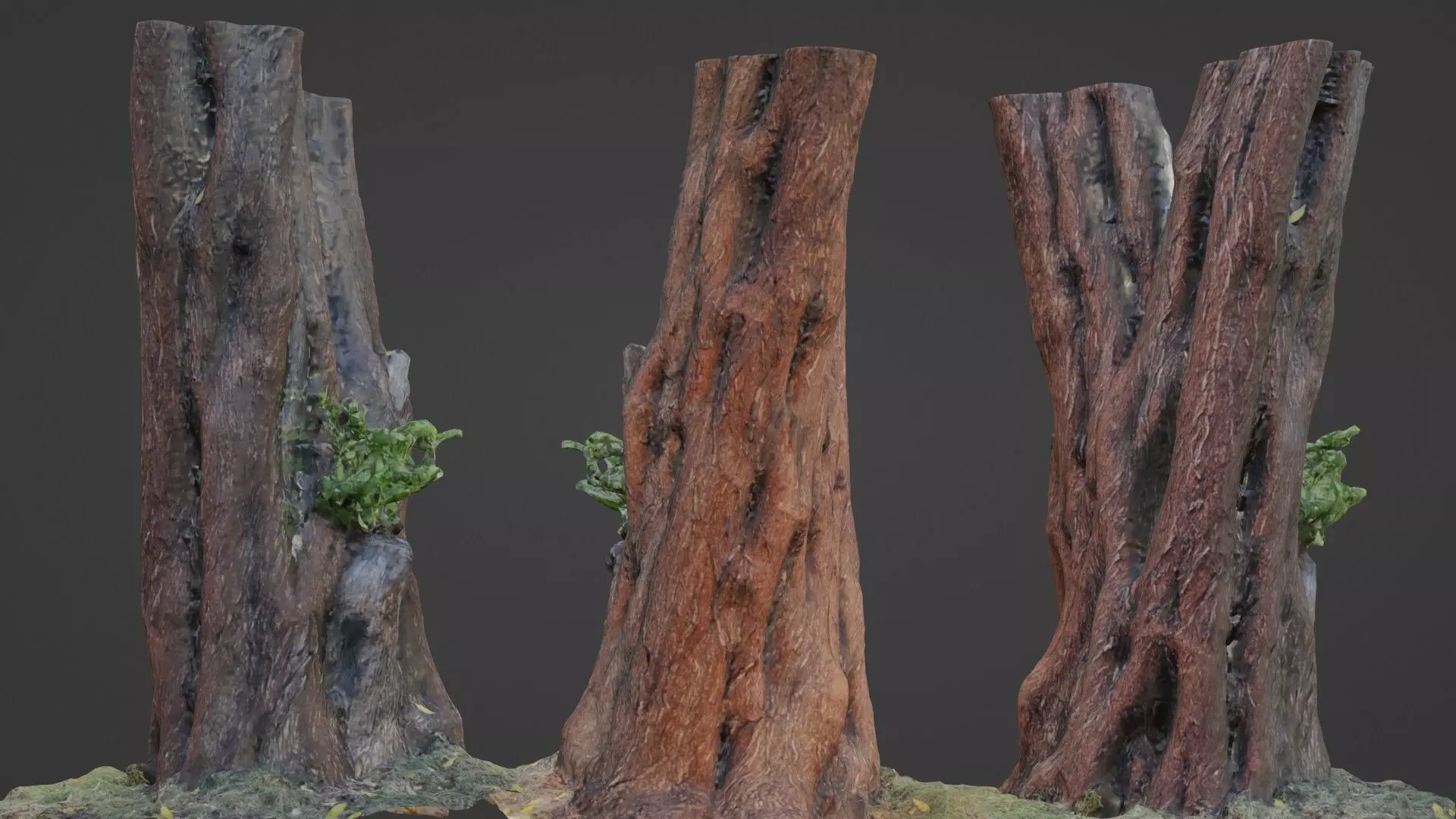 tree scan Low-poly 3D model_0