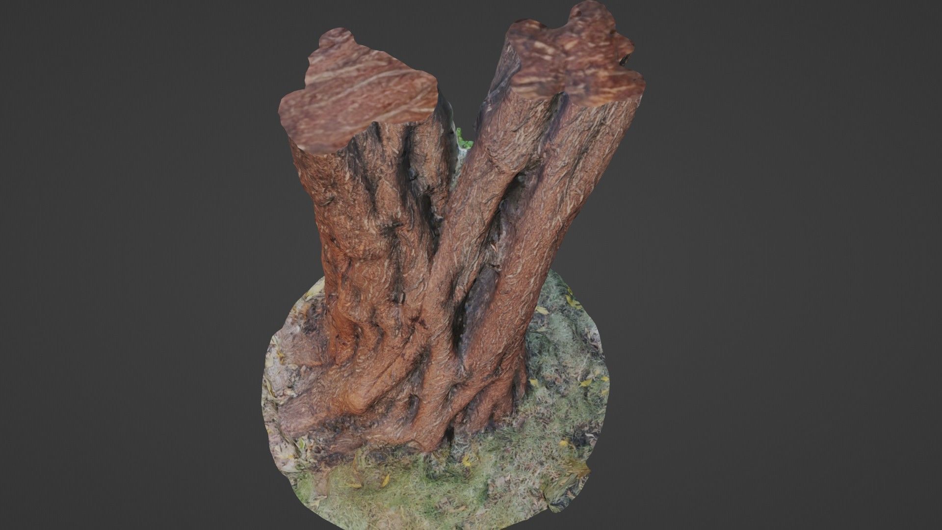 tree scan Low-poly 3D model_6