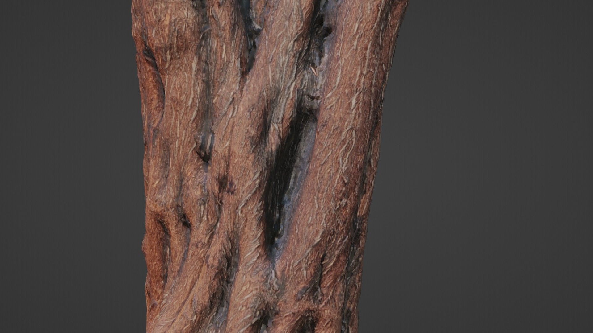 tree scan Low-poly 3D model_4