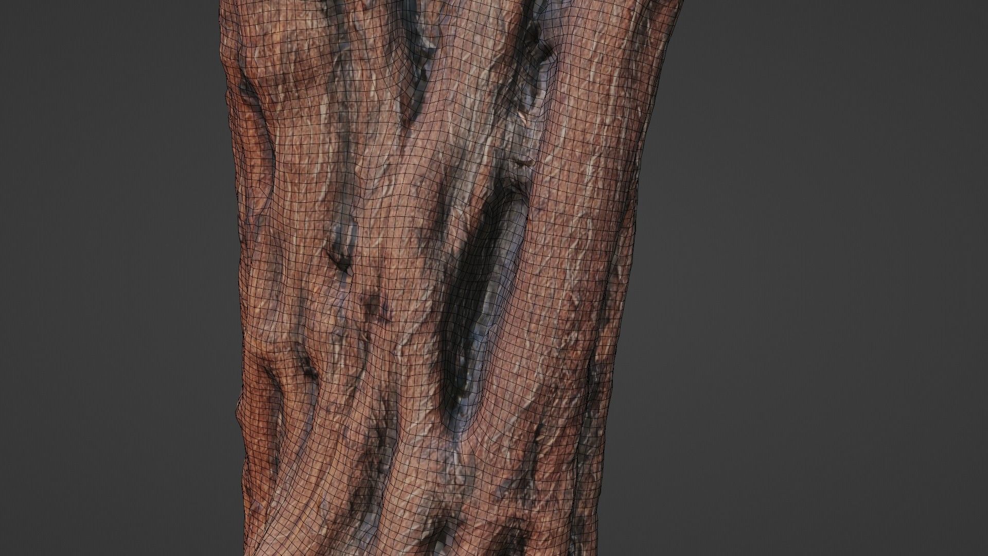 tree scan Low-poly 3D model_5