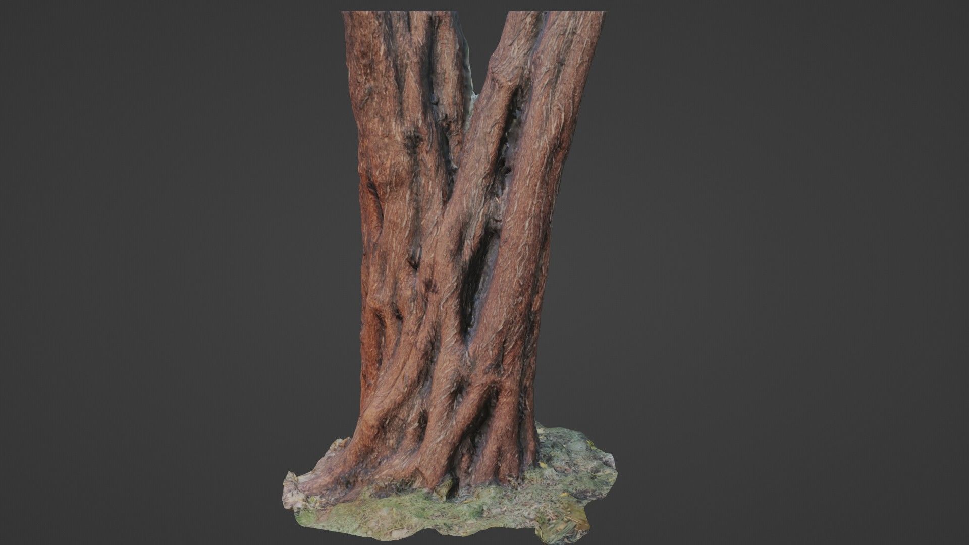 tree scan Low-poly 3D model_3