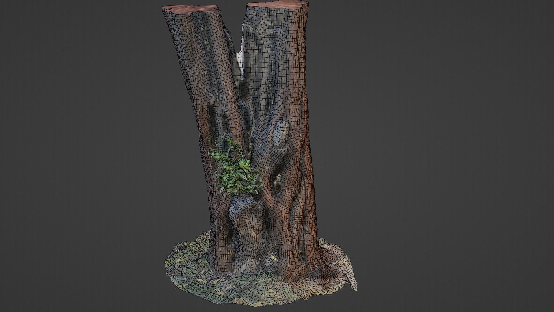 tree scan Low-poly 3D model_2