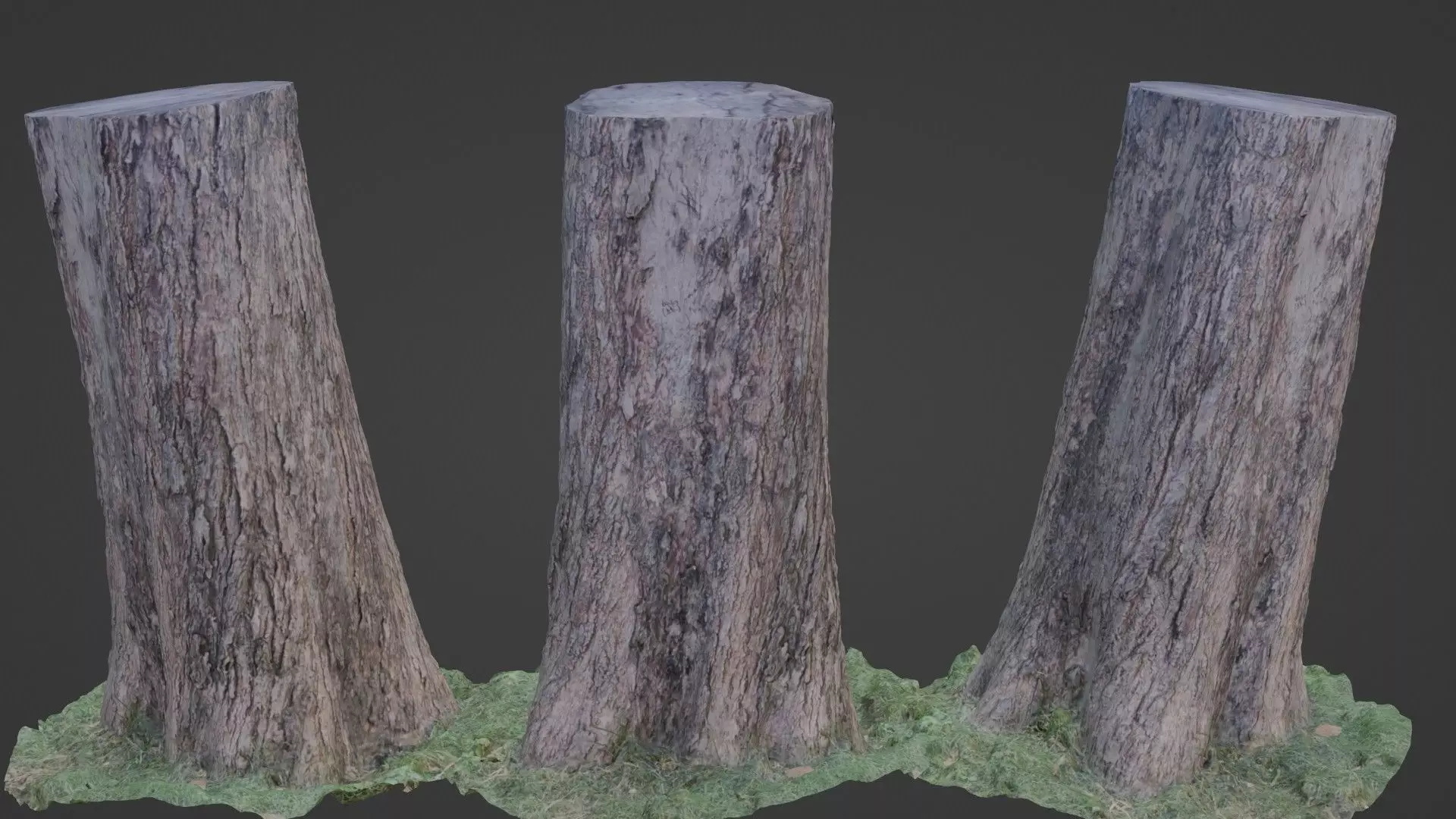 Trunk scan Low-poly 3D model_0