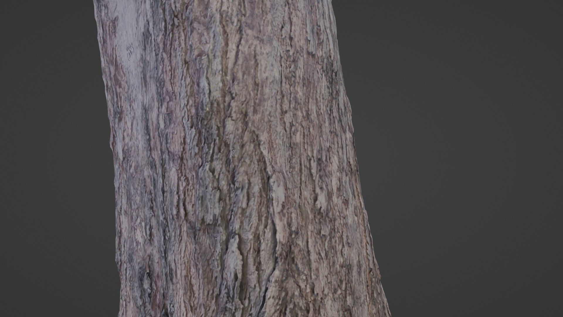 Trunk scan Low-poly 3D model_3