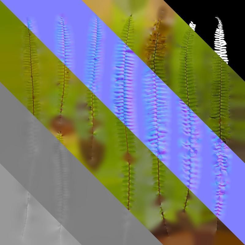 Anydrafts Nephrolepis cordifolia Atlas 02 Texture_8