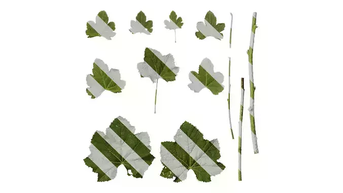 Anydrafts Alcea rosea Leaf 03