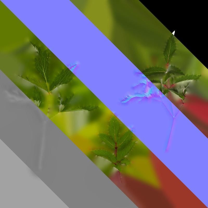 Anydrafts Astilbe chinensis Leaf 03 Texture_8