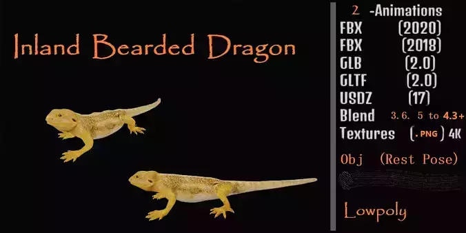 Inland Bearded Dragon Lizard