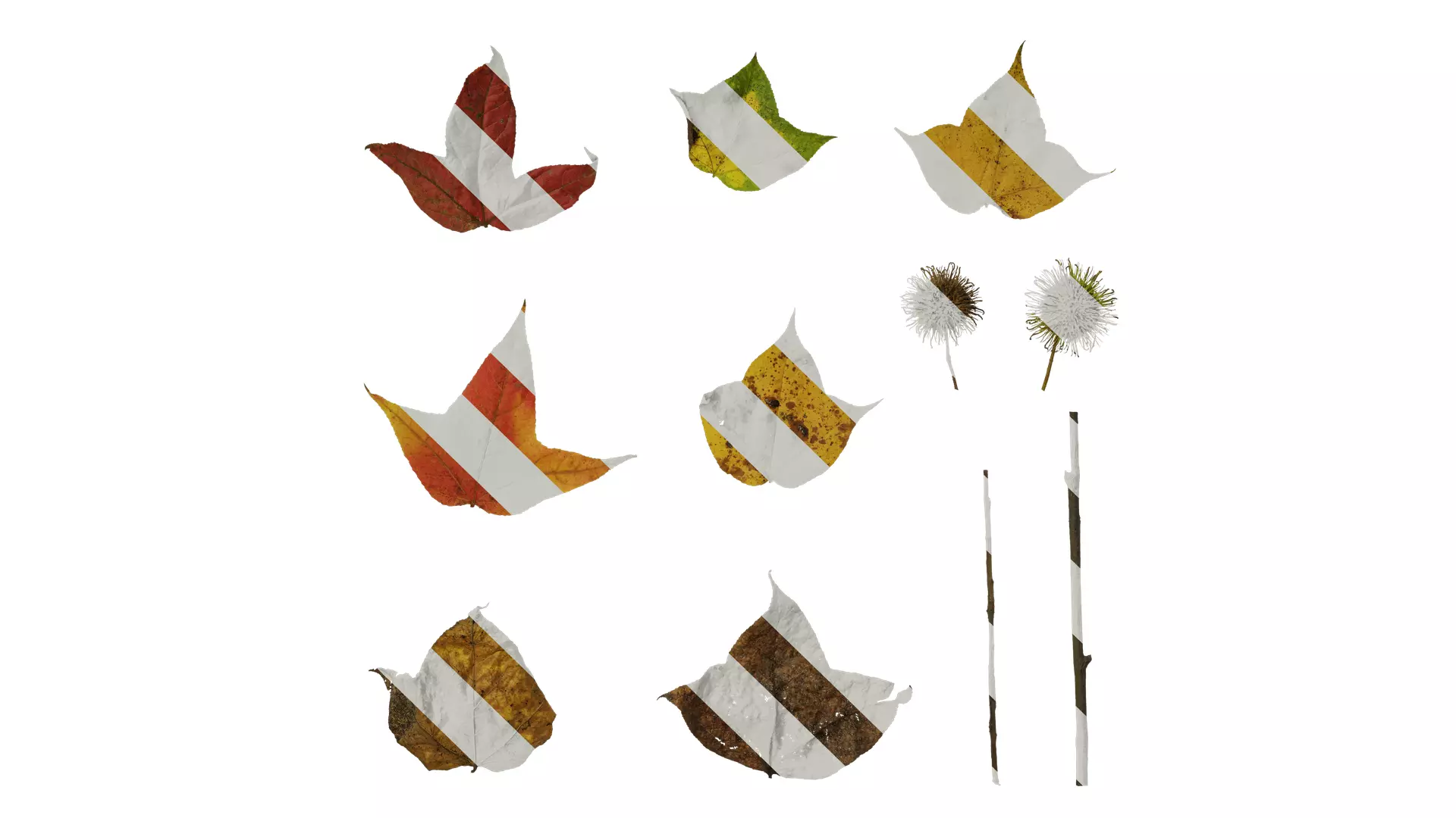 Anydrafts Acer buergerianum Leaf 01 Texture_0