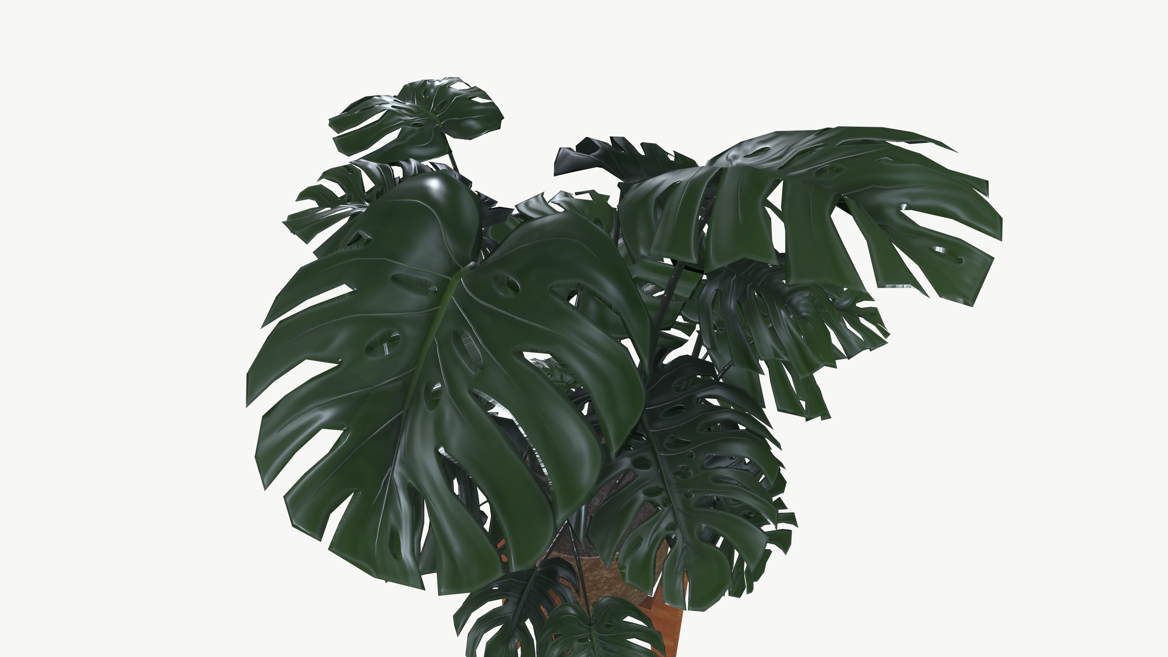 Flower Pot 3D model_5