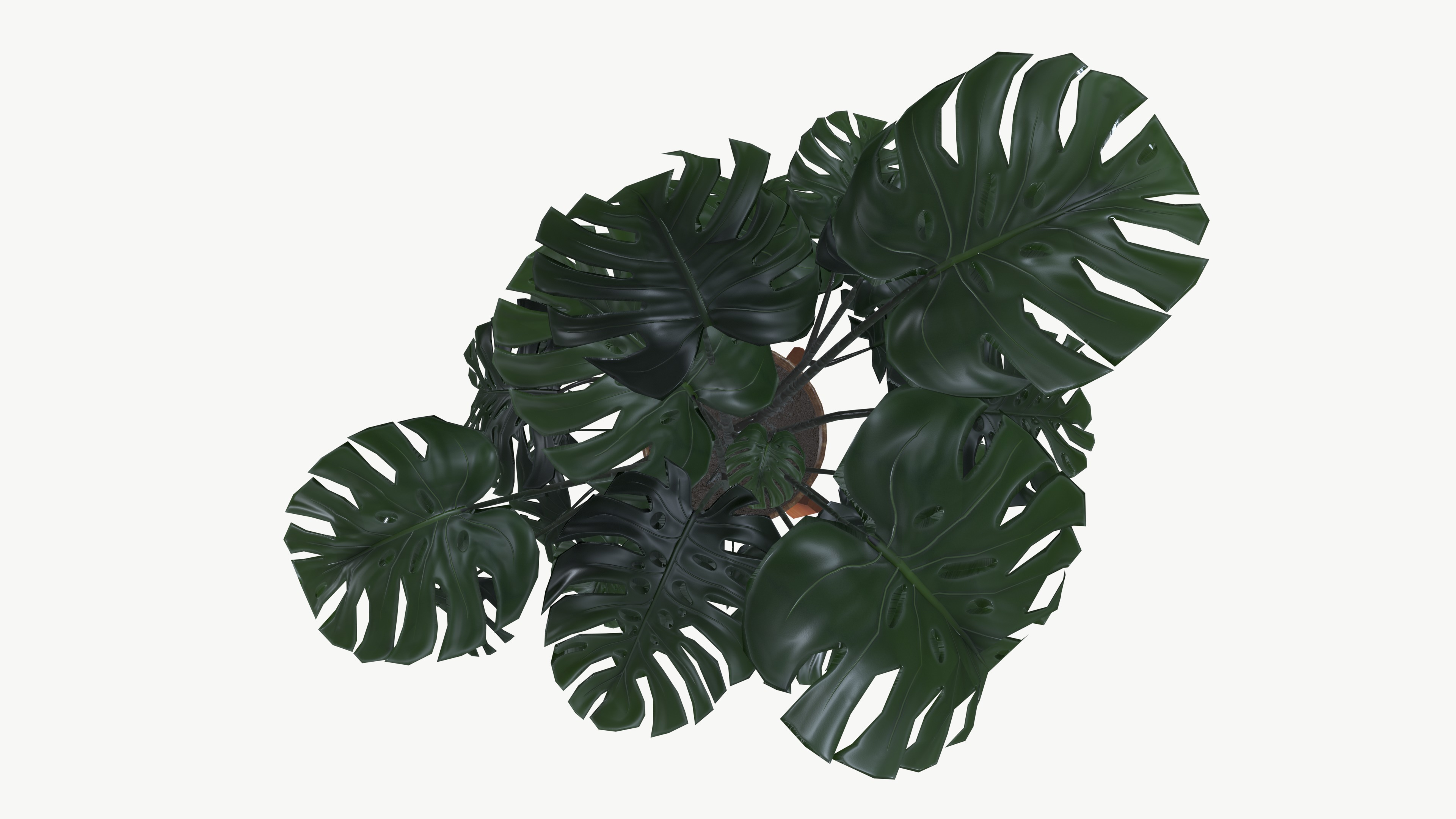 Flower Pot 3D model_8