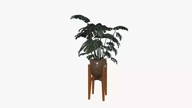 Flower Pot 3D model
