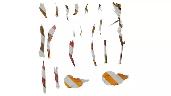 Anydrafts Canna indica Atlas 19