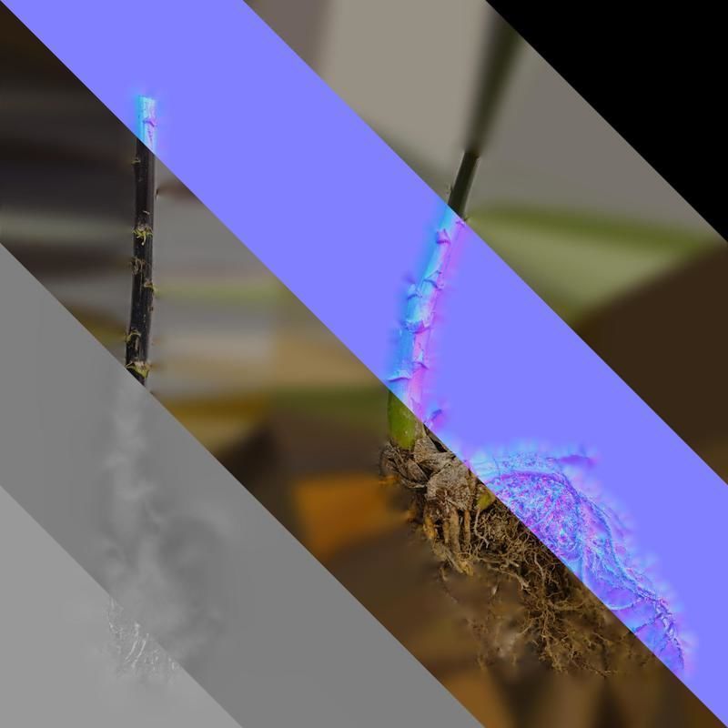 Anydrafts Cardiocrinum giganteum Atlas 01 Texture_8