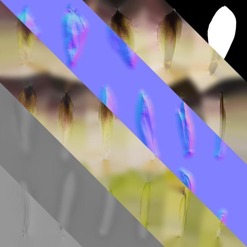 Anydrafts Cardiocrinum giganteum Flower 01 Texture_8