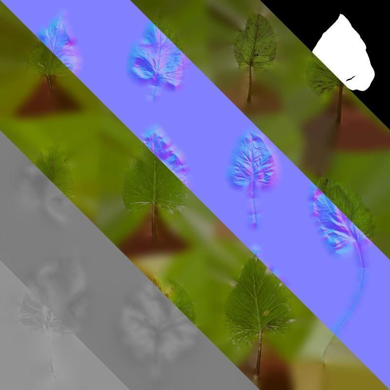 Anydrafts Cardiocrinum giganteum Leaf 06 Texture_8