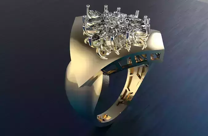 jewelry ring 214