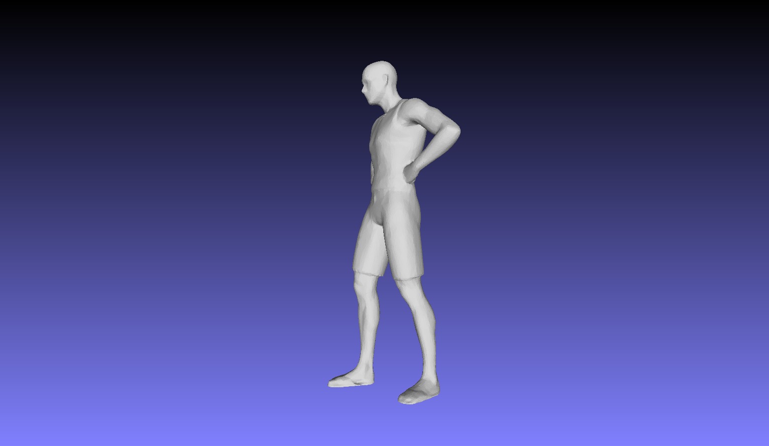 Printle L Homme 496 S 3D print model_33