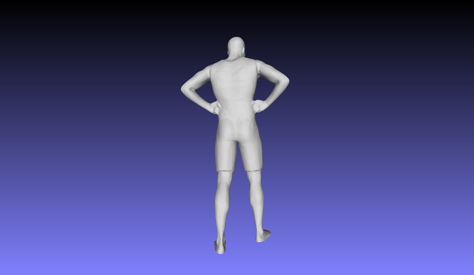 Printle L Homme 496 S 3D print model_20