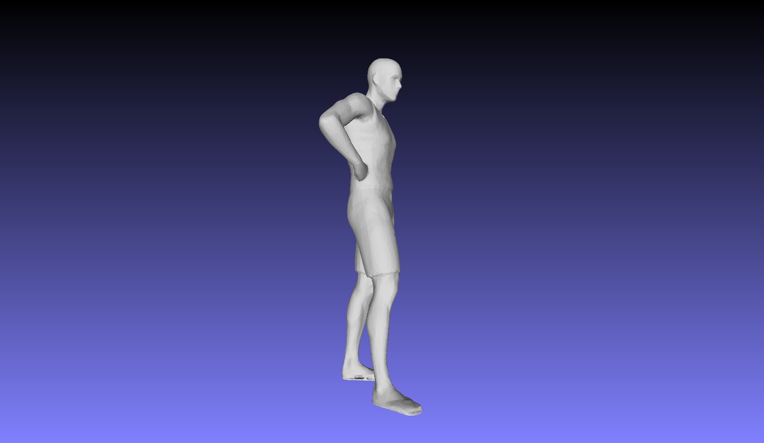 Printle L Homme 496 S 3D print model_9