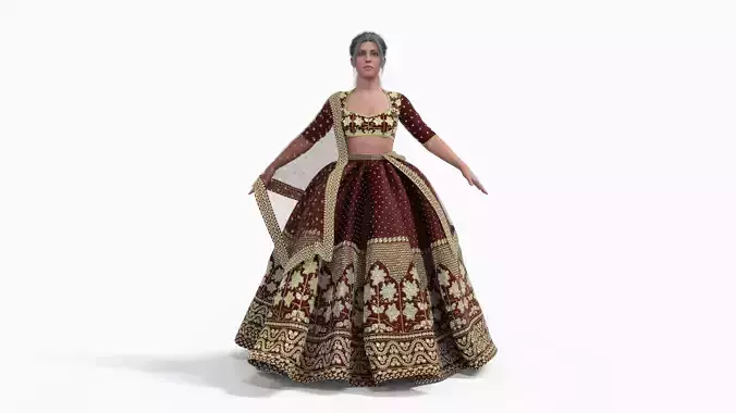 Indian Wedding Dress