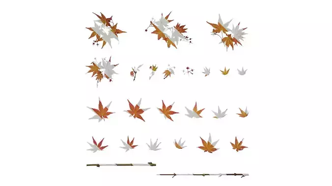 Anydrafts Acer palmatum Atlas 03