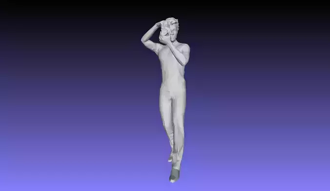Printle QR Homme 496 T 3D print model