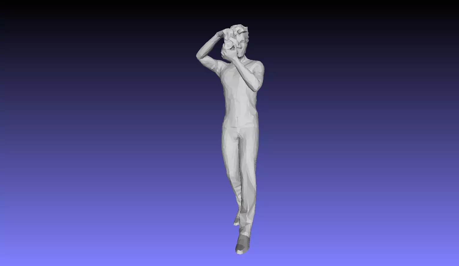 Printle QR Homme 496 T 3D print model