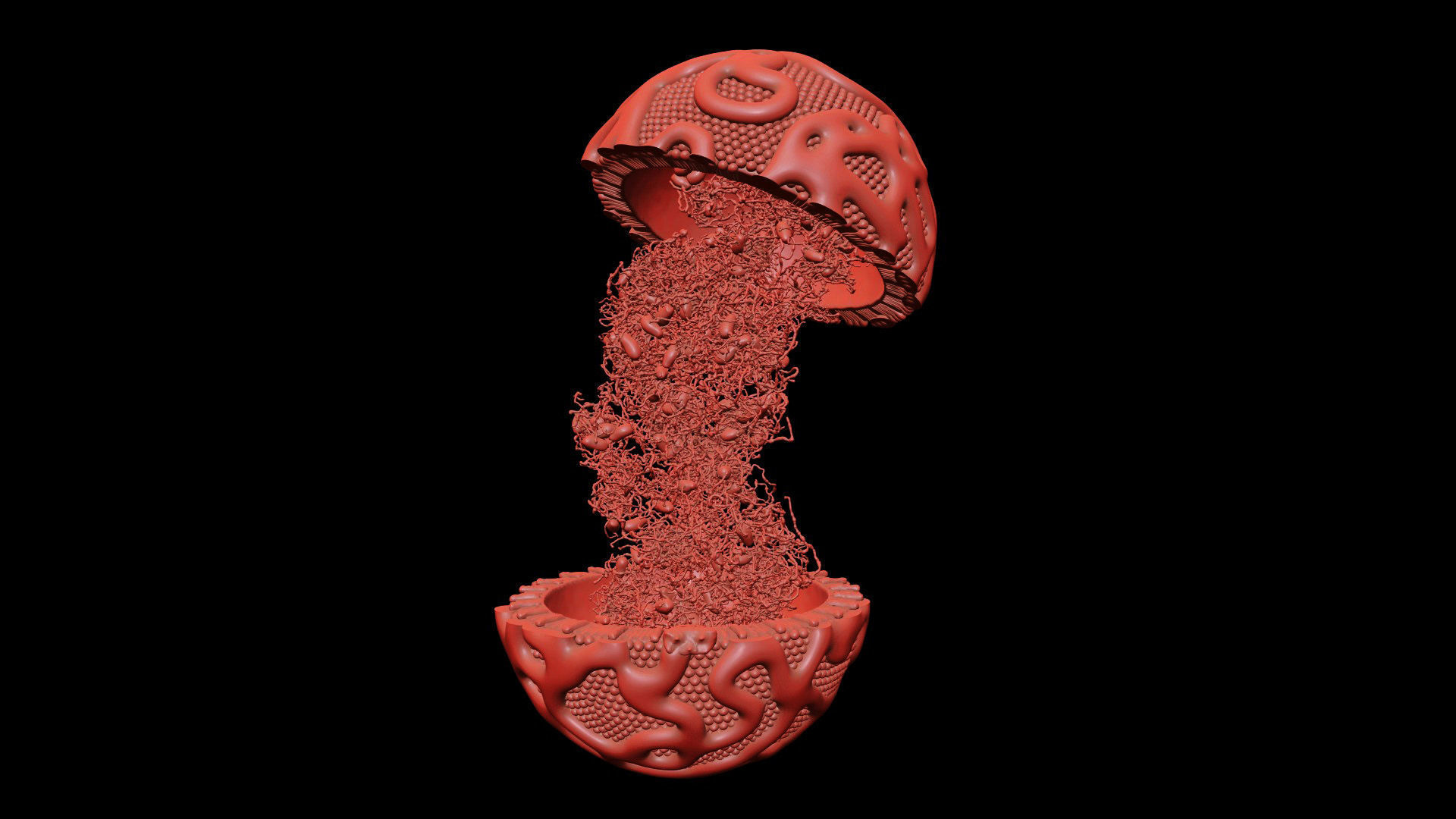 Lipoprotein with Realistic Visualization of Components 3D model_17