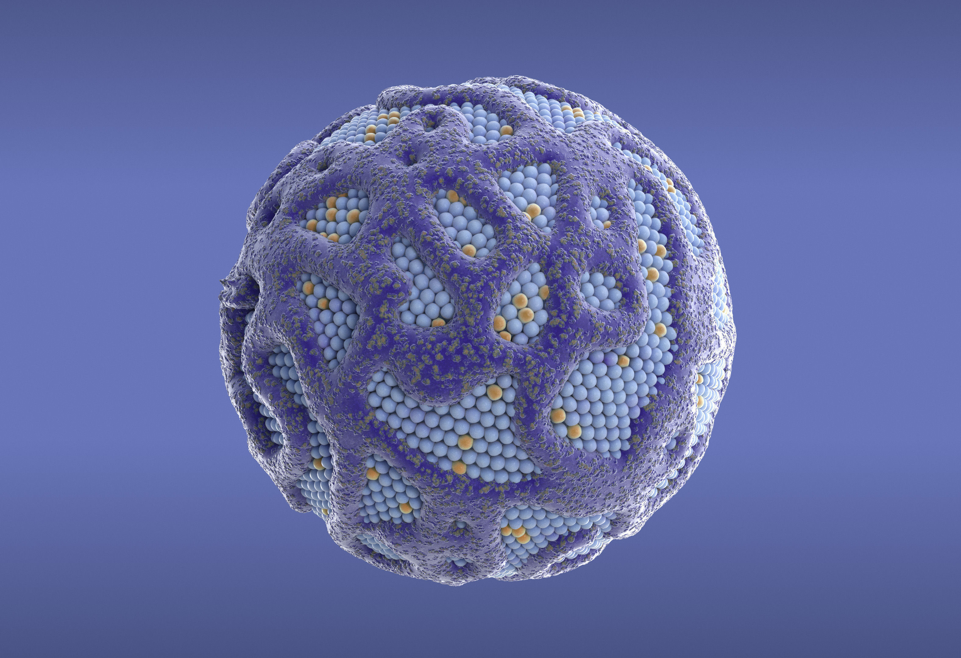 Lipoprotein with Realistic Visualization of Components 3D model_5