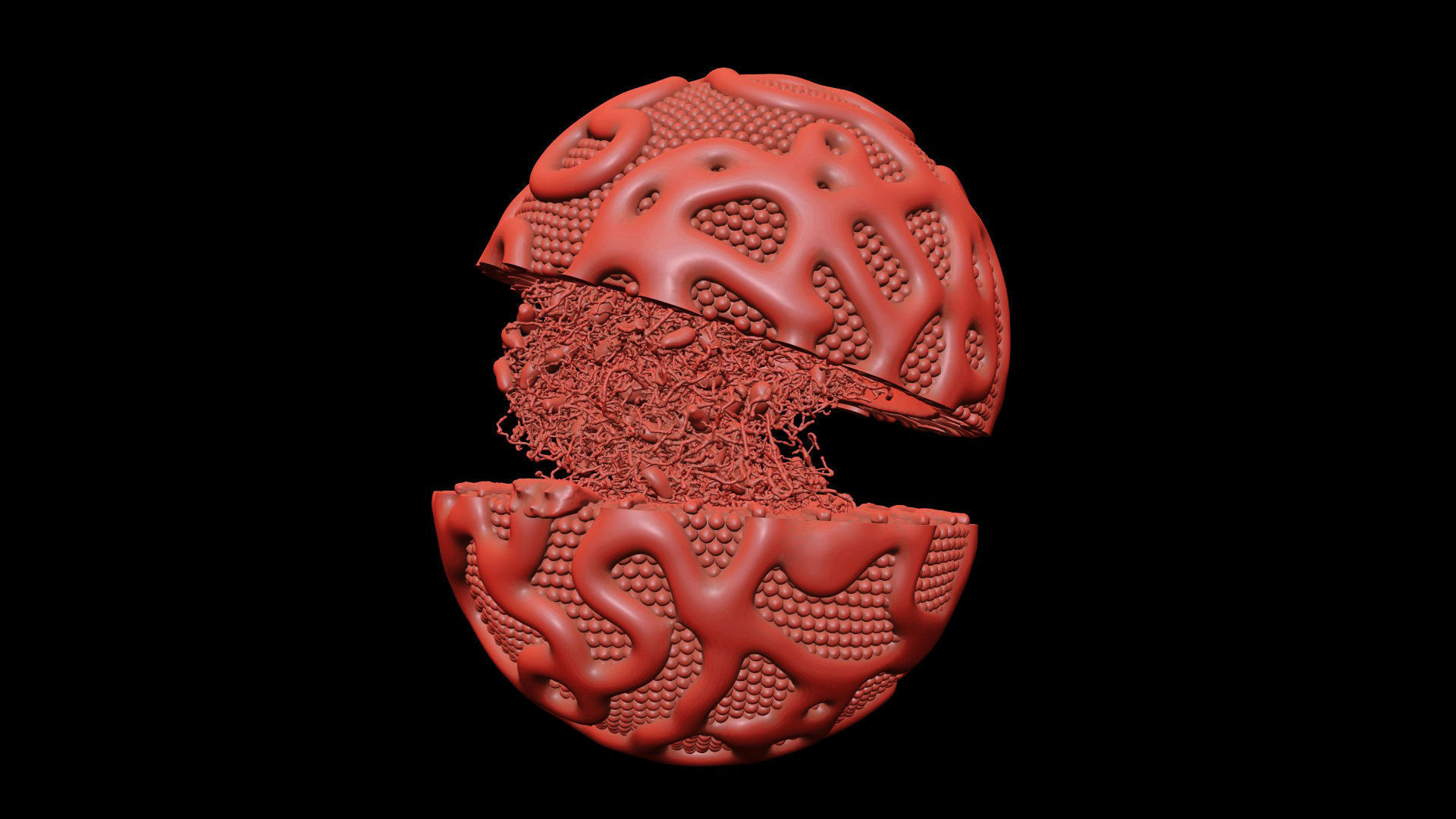 Lipoprotein with Realistic Visualization of Components 3D model_19