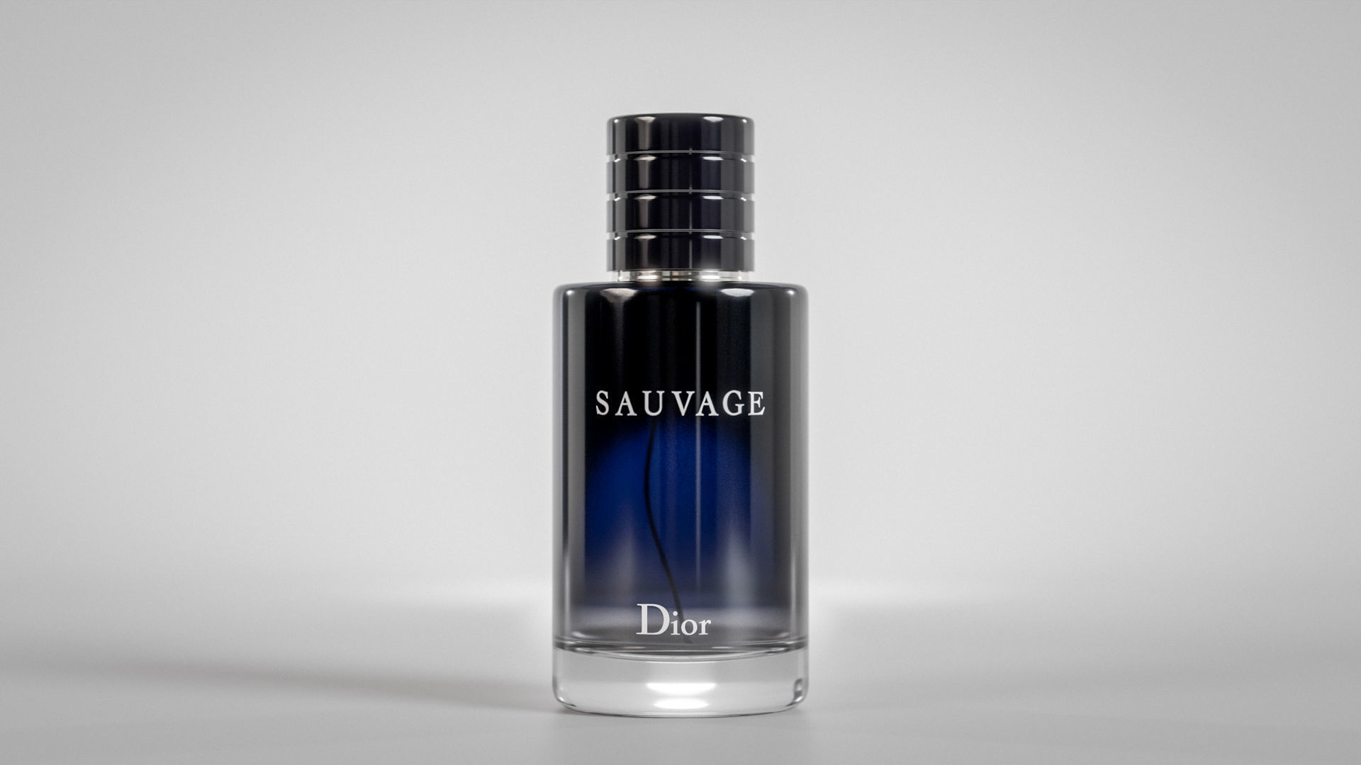 Dior Sauvage 100ml perfume Bottle 3D model_12