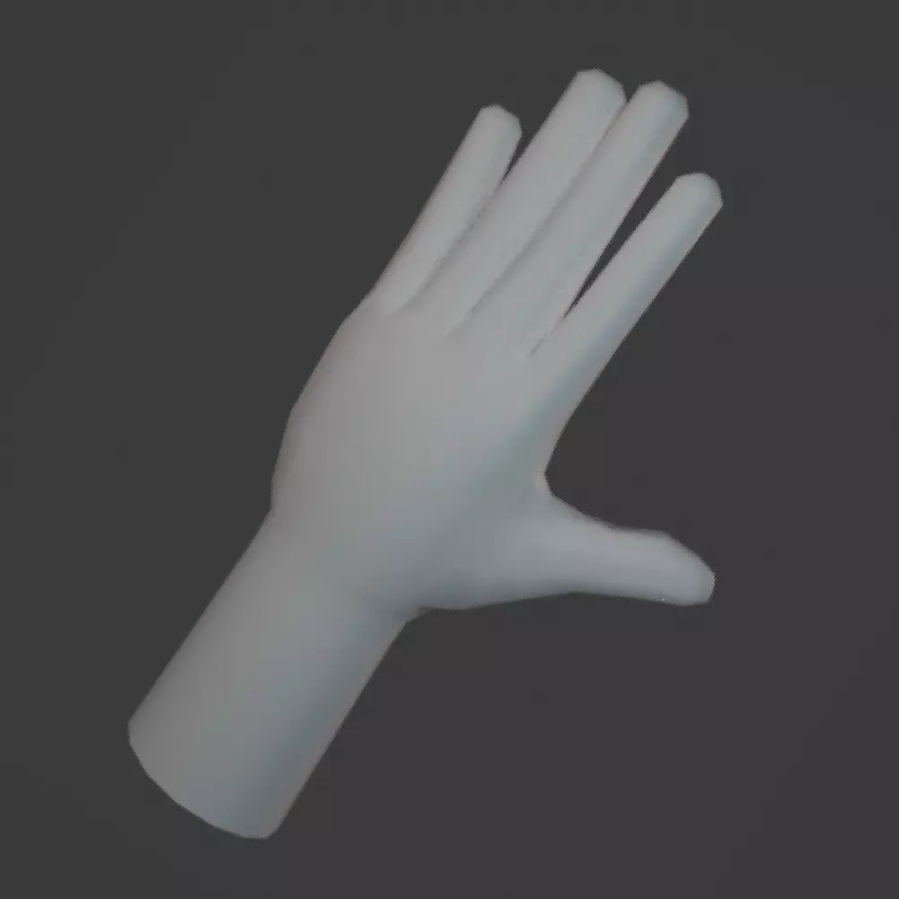 Hands Low Poly Rigged 3D Model Base Mesh Low-poly 3D model_0