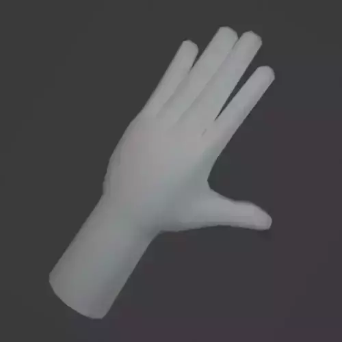 Hands Low Poly Rigged 3D Model Base Mesh Low-poly 3D model