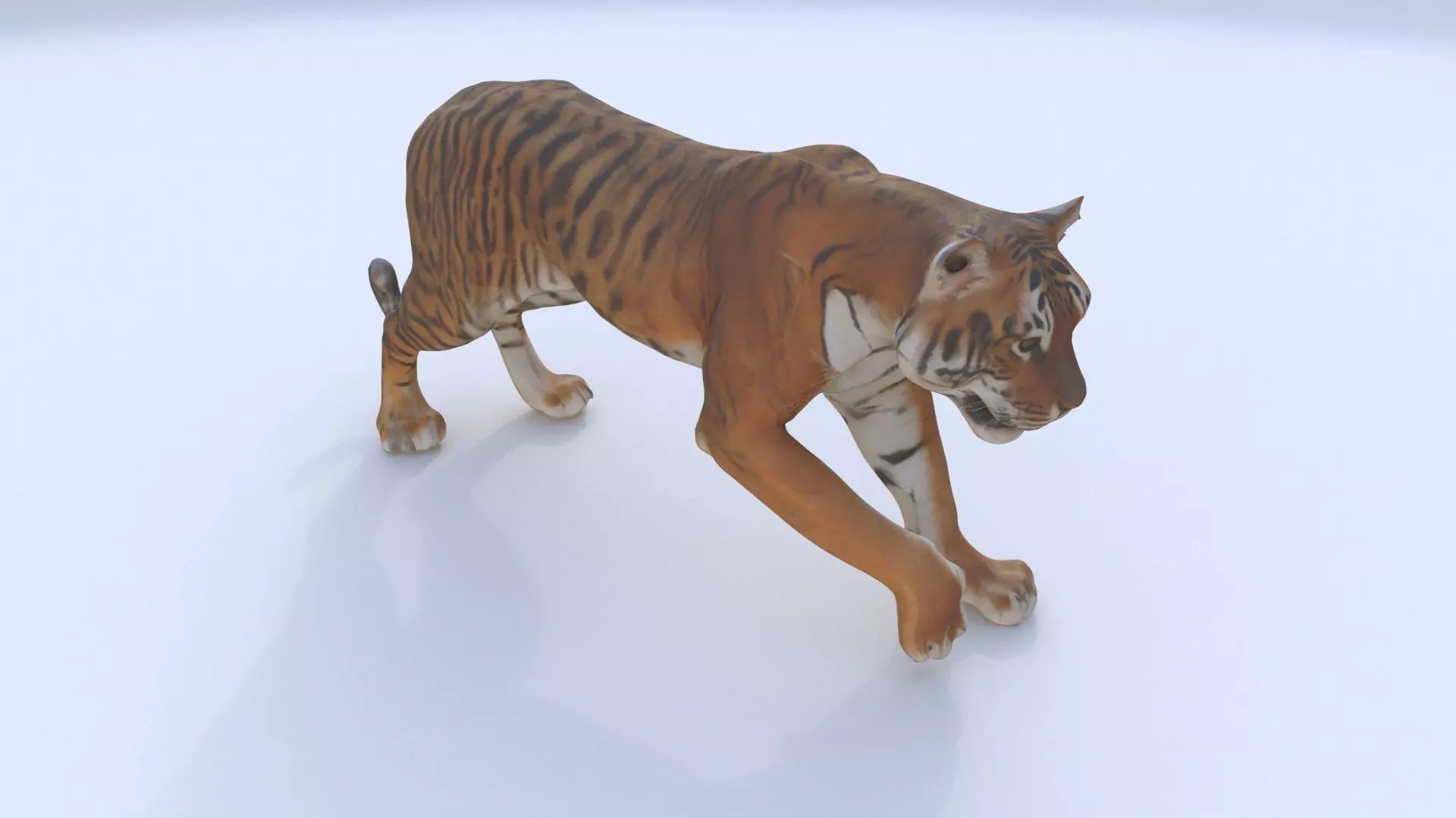 Bengal 3D model_0