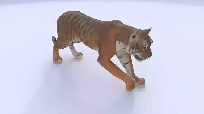 Bengal 3D model