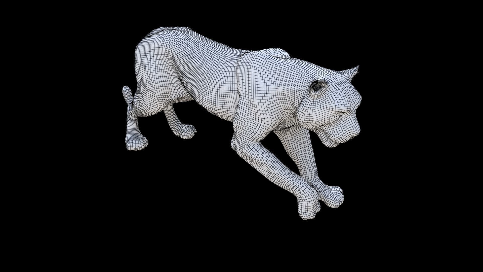 Bengal 3D model_5