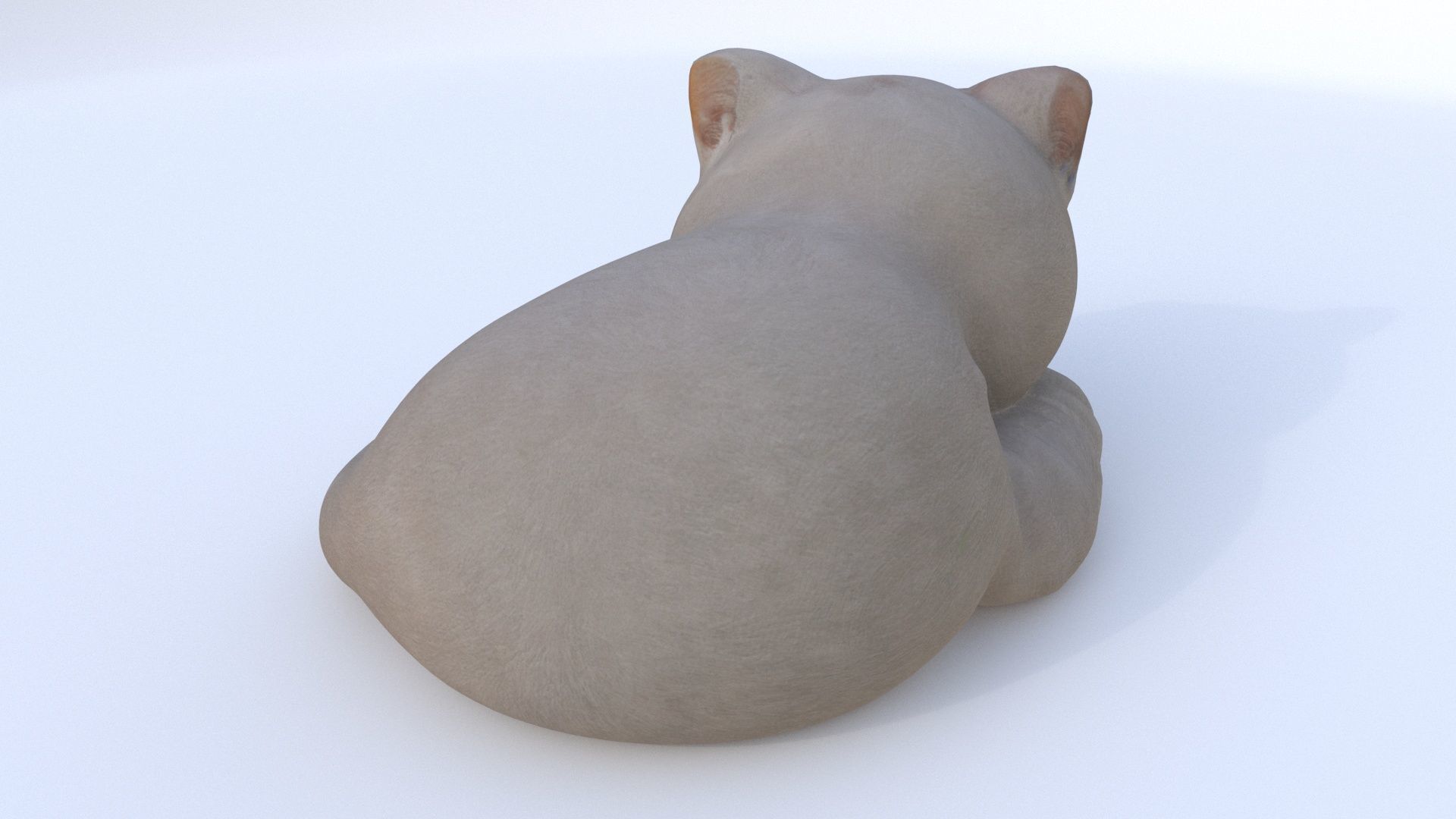 British Shorthair sleeping 3D model_4