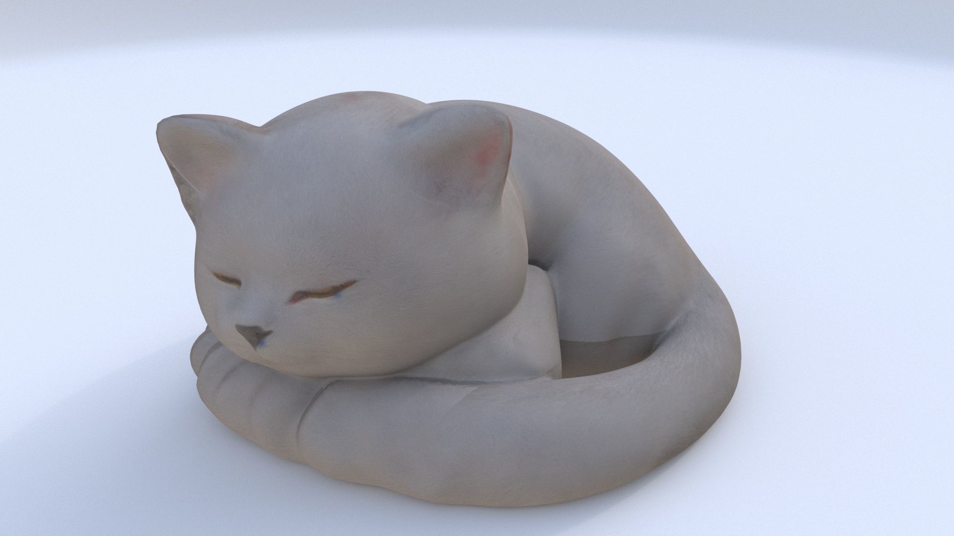 British Shorthair sleeping 3D model_1