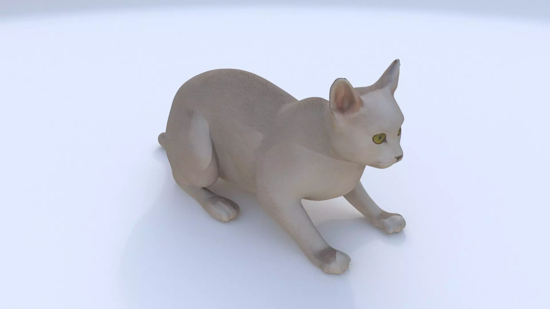 Chartreux 3D model_0