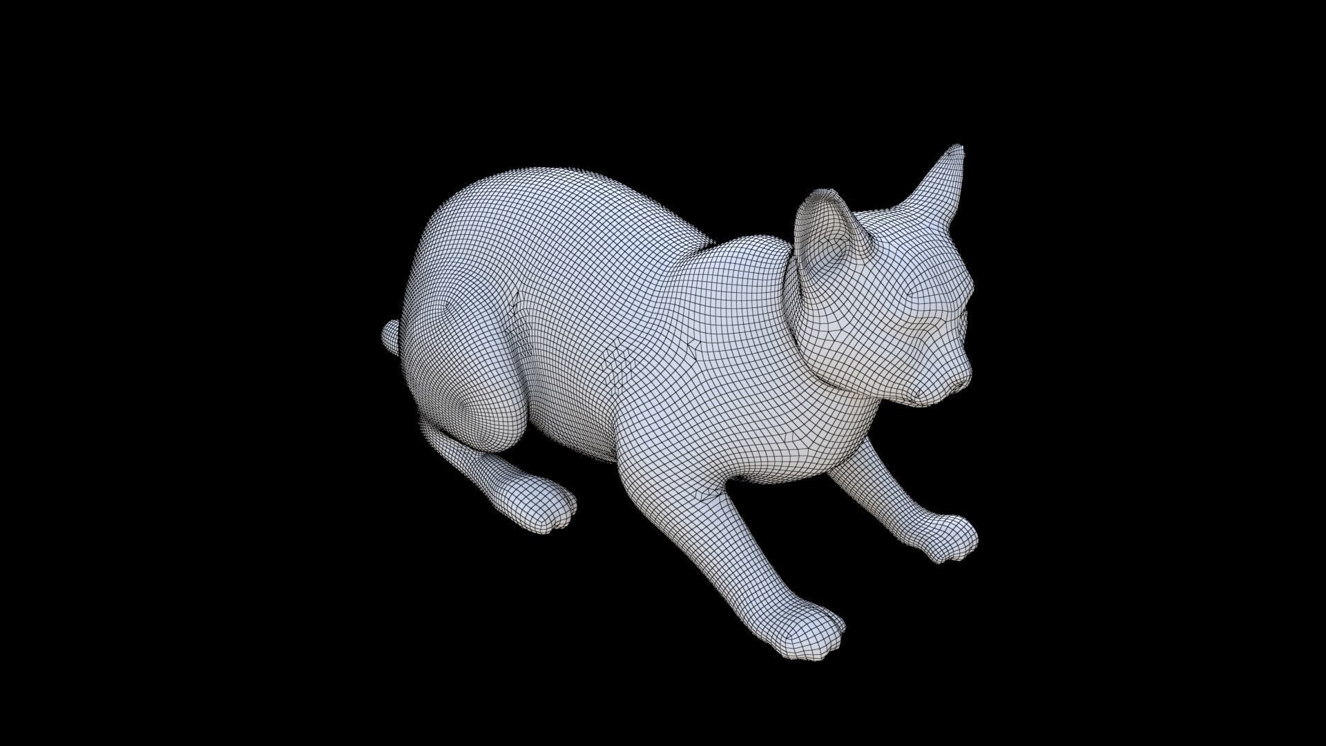 Chartreux 3D model_5