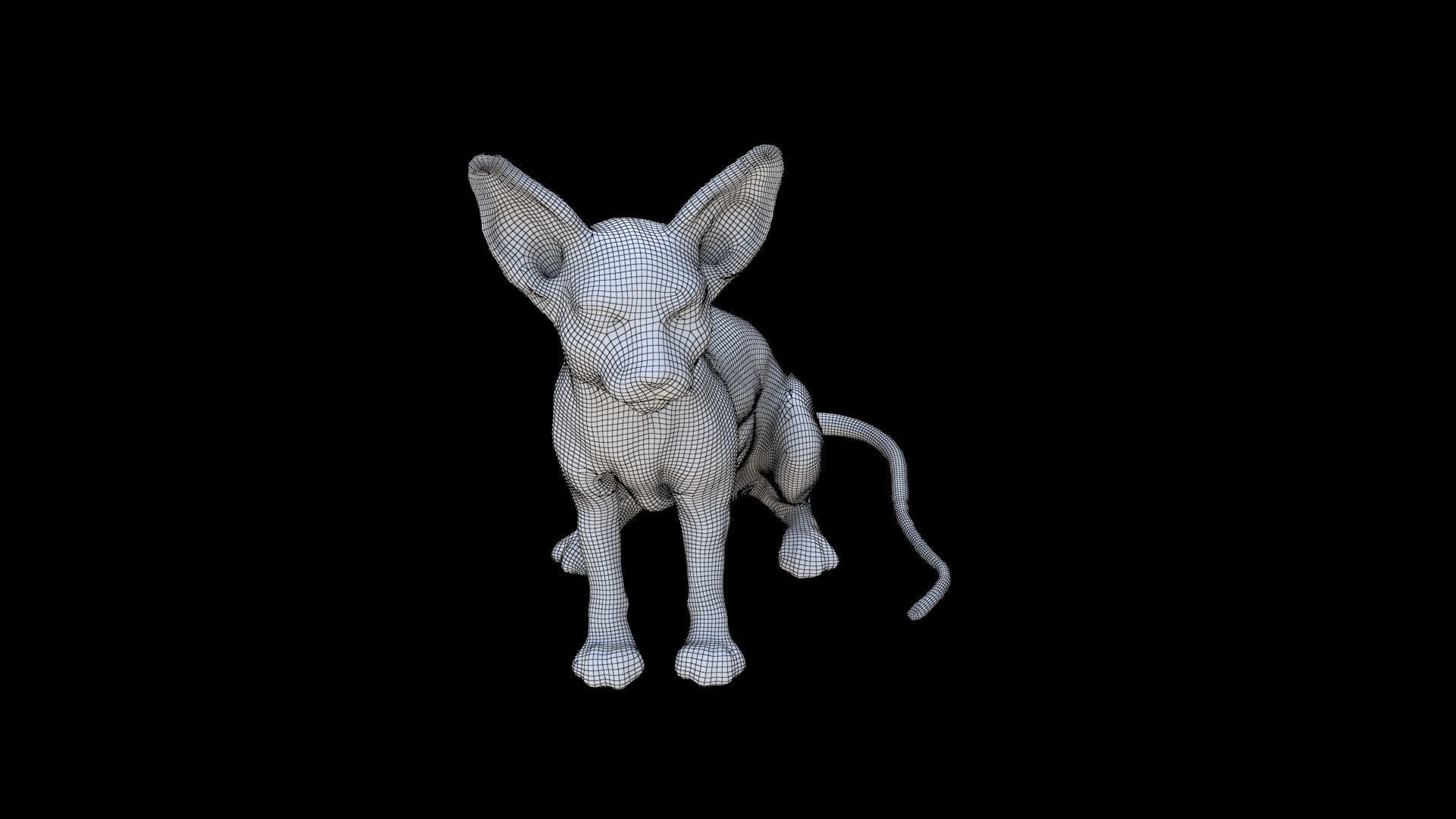 Cornish Rex seated 3D model_5