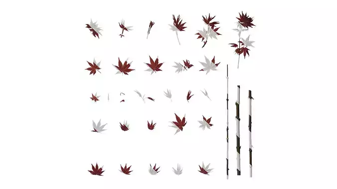 Anydrafts Acer palmatum Leaf 02