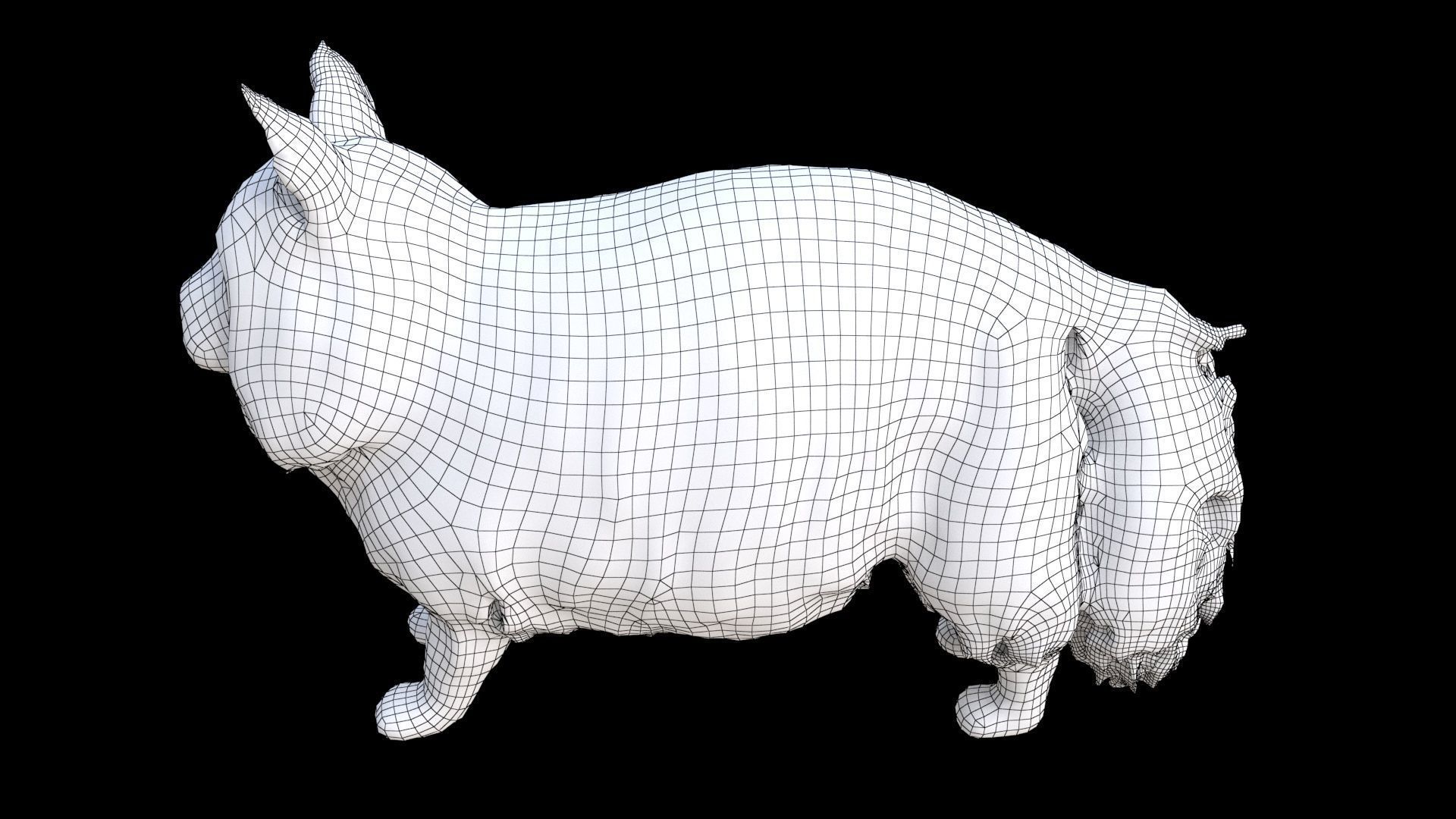 Maine Coon 3D model_7