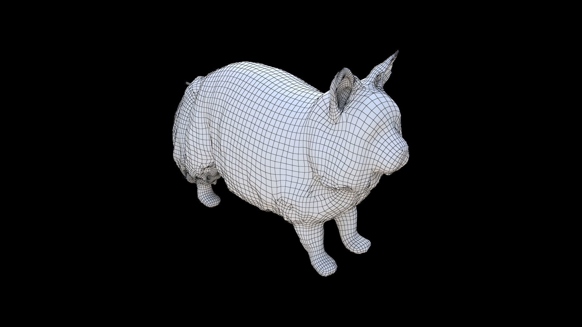 Maine Coon 3D model_5